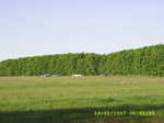       2007